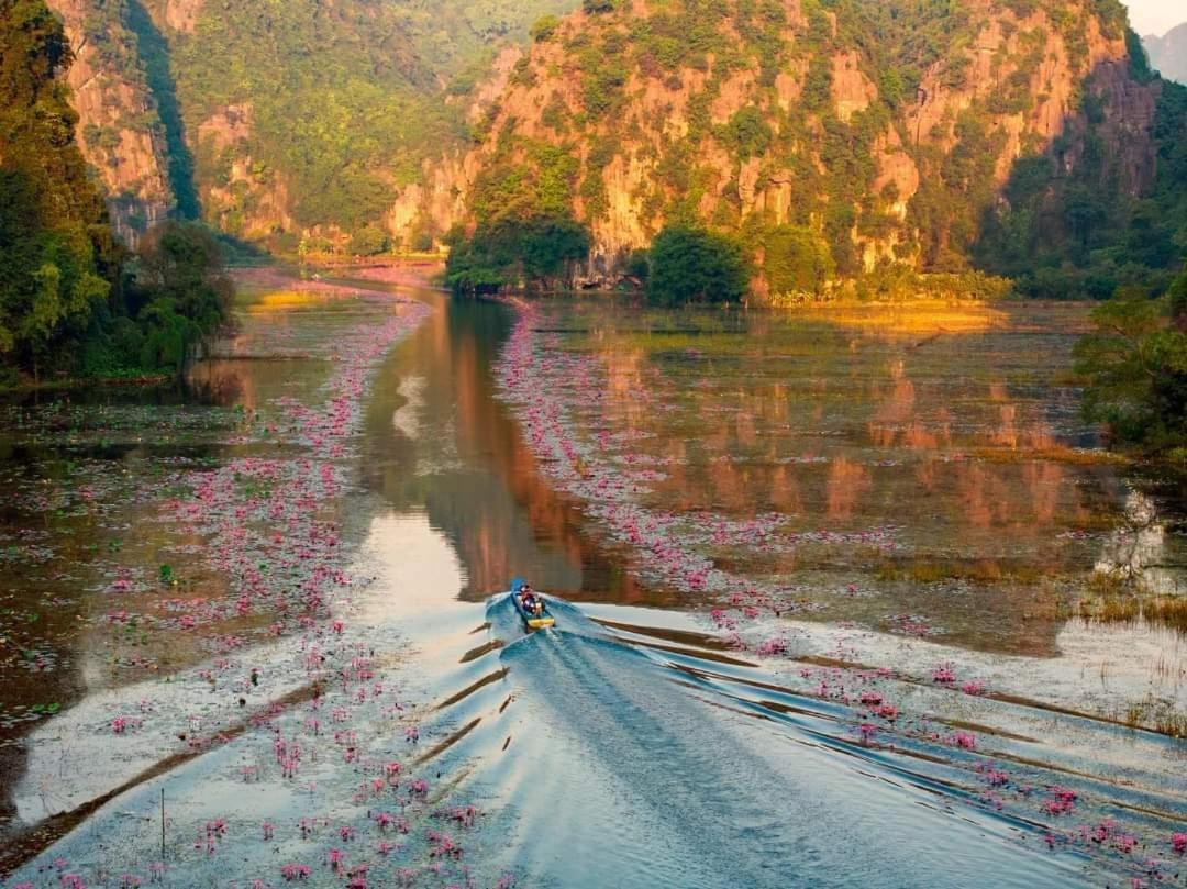Tam Coc Paradise Homestay نينه بينه المظهر الخارجي الصورة