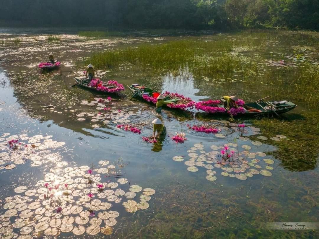 Tam Coc Paradise Homestay نينه بينه المظهر الخارجي الصورة